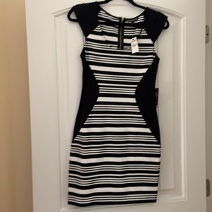 NWT Express ponte dress